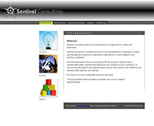 sentinal consulting