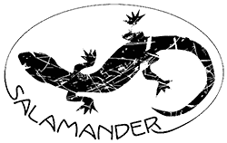 salamander